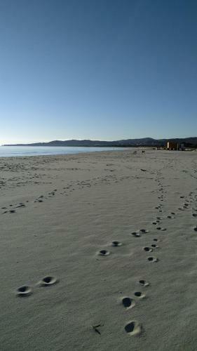 Bed & Breakfast La Stradetta