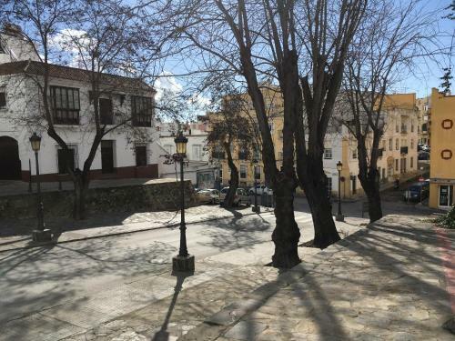 Apartamento Centrico Piso Con Terraza