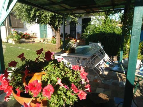 Bed & Breakfast Il Brecciaro