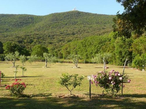Bed & Breakfast Il Brecciaro