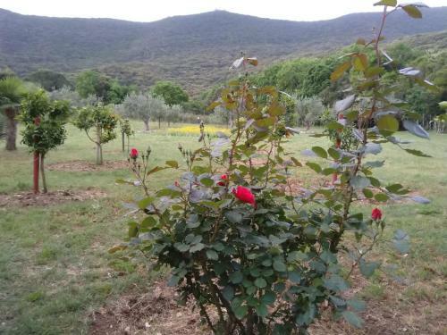Bed & Breakfast Il Brecciaro