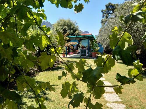 Bed & Breakfast Il Brecciaro