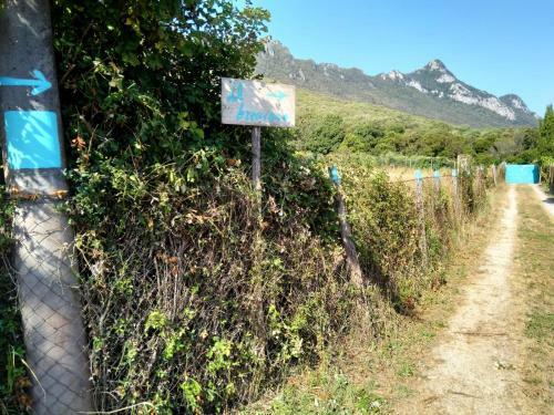 Bed & Breakfast Il Brecciaro