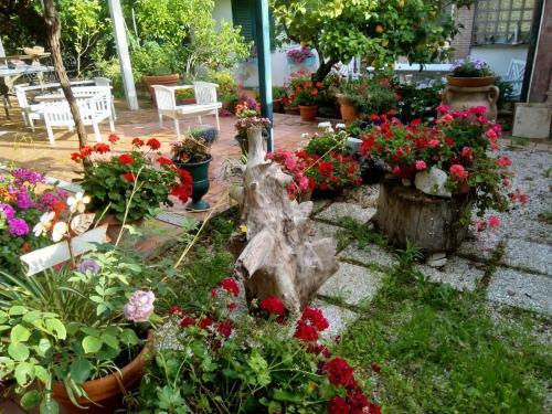 Bed & Breakfast Il Brecciaro