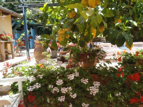 Bed & Breakfast Il Brecciaro