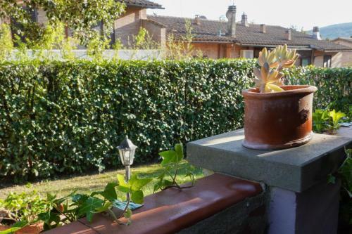 Apartamento La Casa Di Agnese