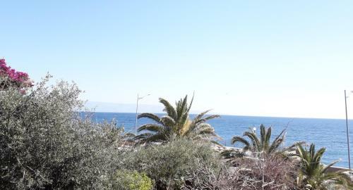 Apartamento Alba Di Mare