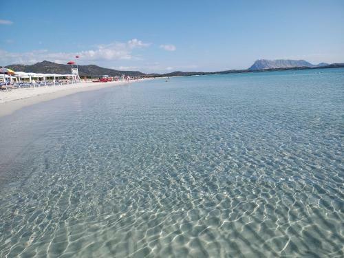 San Teodoro Da Zio Mimmo