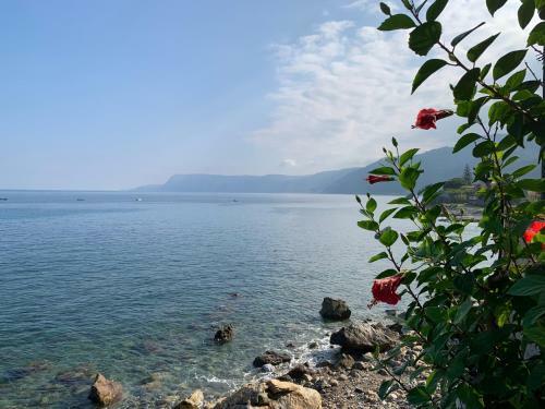 Villa Casa Delle Galee