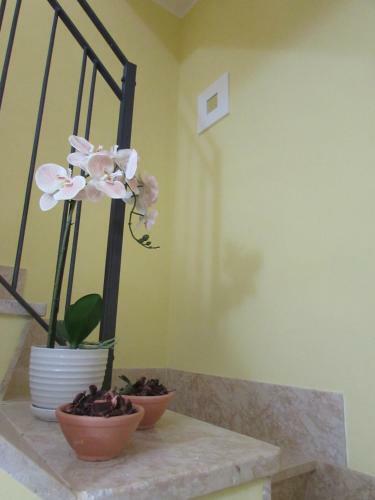 Bed & Breakfast Antico Vicolo