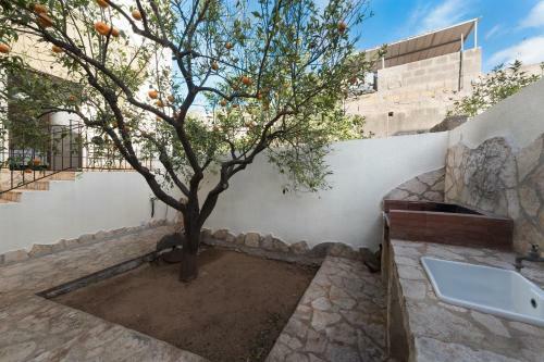 Apartamento Appartamento Giardini Primo