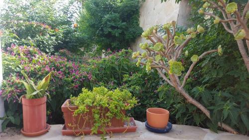 Apartamento Estudio En Teulada