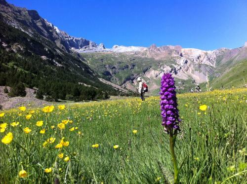 Hostel-albergue Monte Perdido