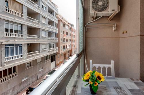 Apartments Felix Rodrigues