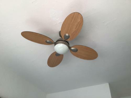 Hostal Flor Blanco
