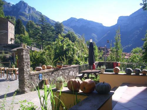 Pania Forata Hostel