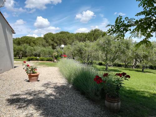 Apartamento Casa In Collina