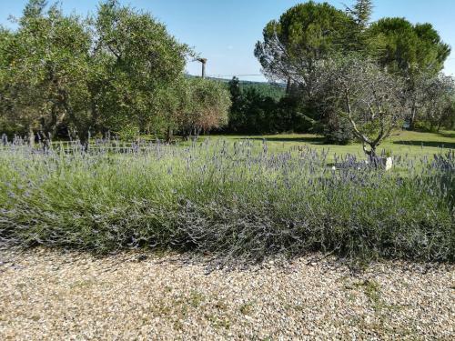 Apartamento Casa In Collina