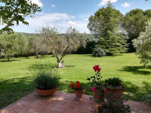 Apartamento Casa In Collina