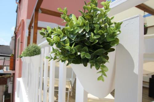 Loft Alessia