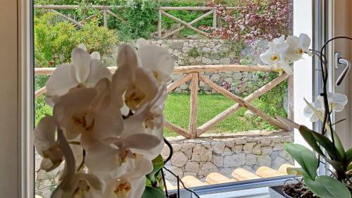 Amore Rentals - Villa Luciana