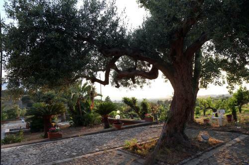 Il Giardino Di Clara