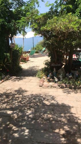 Albatros - Casa Alina