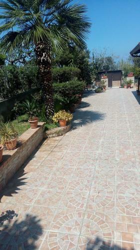 Apartamento Monolocale Con Giardino