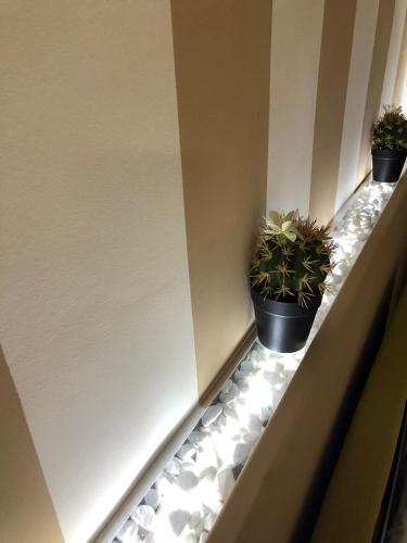 Apartamento Loft Tropea
