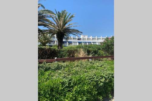 Apartamento ?studio Cabine En 1 Ere Ligne + Parking Priv�?