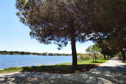 Apartamento Suberbe T2 Avec Piscine Et Jardin De 150m2