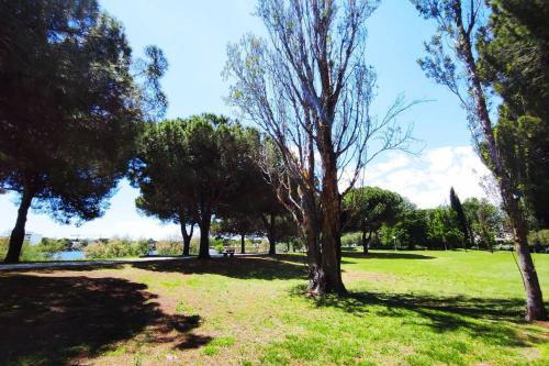 Apartamento Suberbe T2 Avec Piscine Et Jardin De 150m2