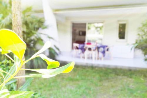 Apartamento Suberbe T2 Avec Piscine Et Jardin De 150m2