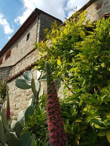 Hostal Affittacamere Adri