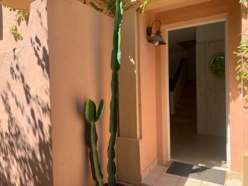 Casa 4 Habitaciones Con Jardin Y Piscina