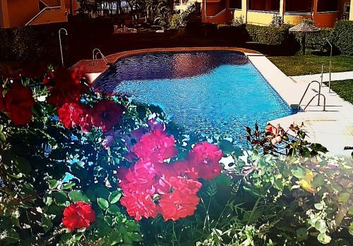 Apartamento Mijas Costa