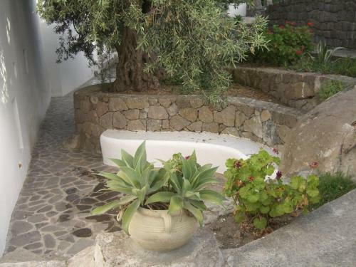 Apartamento Cottage In Panarea
