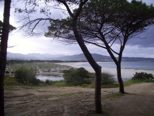 Villa A 200 Metri Dalla Spiaggia