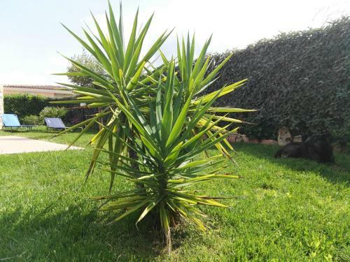 Villa A 200 Metri Dalla Spiaggia