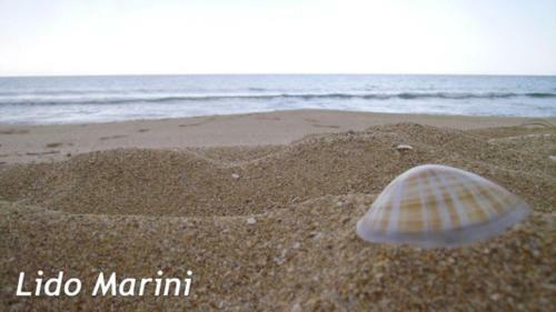 Apartamento Appartamento Delle Rose