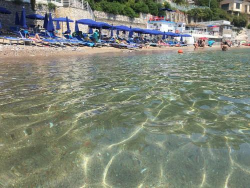 Hostal Il Delfino