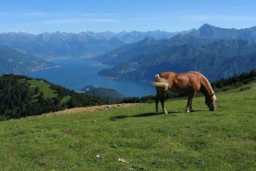 Apartamento Appartamento Ghisallo