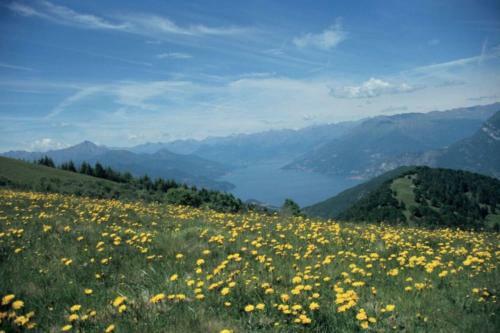 Apartamento Appartamento Ghisallo
