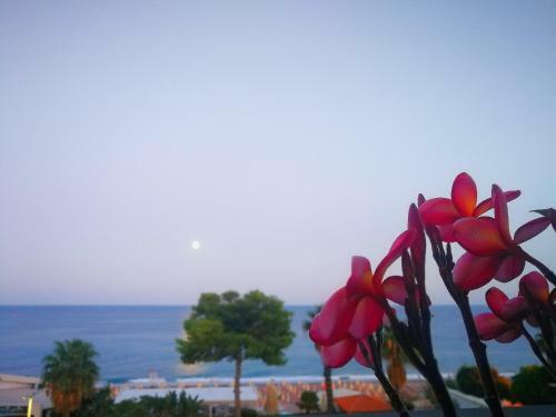 Apartamento Taormina By The Sea