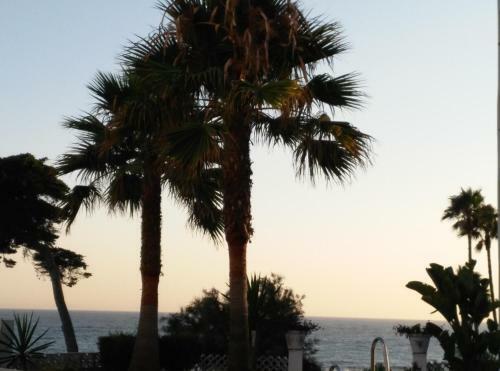 Calahonda Beach- Golf Apartment