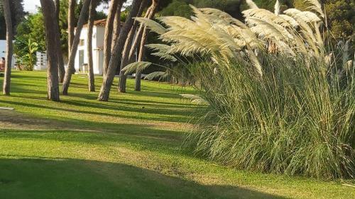 Calahonda Beach- Golf Apartment