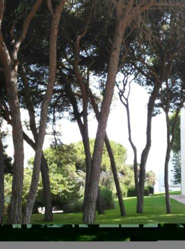 Calahonda Beach- Golf Apartment