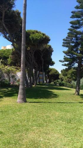 Calahonda Beach- Golf Apartment