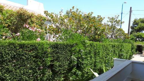 Residence Salentoholidays
