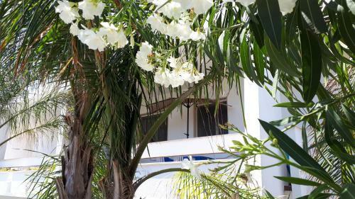Residence Salentoholidays